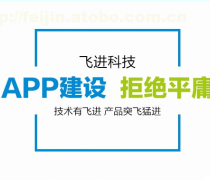 軟件開(kāi)發(fā)外包熱賣促銷