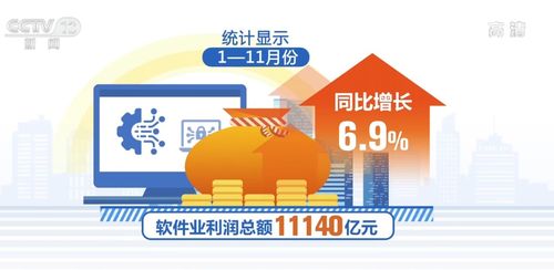 今年前11個(gè)月 我國軟件業(yè)務(wù)收入同比增長10.4